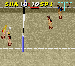 Dig & Spike Volleyball (USA) In game screenshot